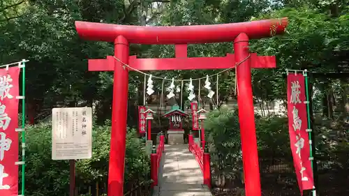 世田谷八幡宮の鳥居