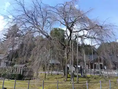 足羽神社(福井県)