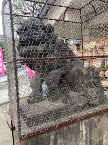 今戸神社(東京都)