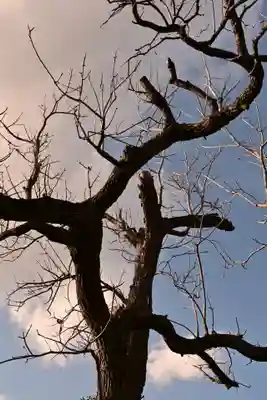 大洲神社(愛媛県)