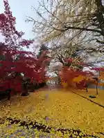 最勝院(青森県)