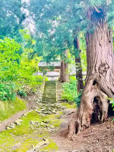 向川寺(山形県)