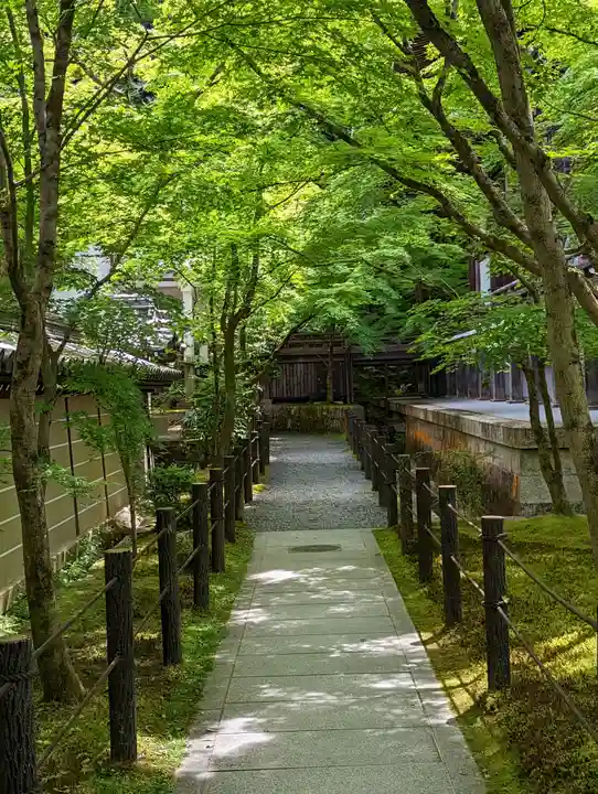 禅林寺(永観堂)(京都府)