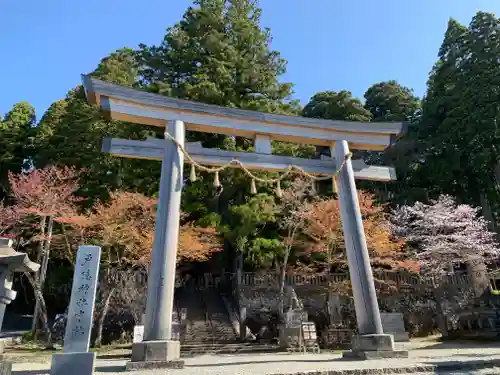 戸隠神社中社の鳥居