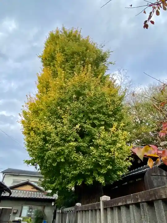 宇賀神社(京都府)