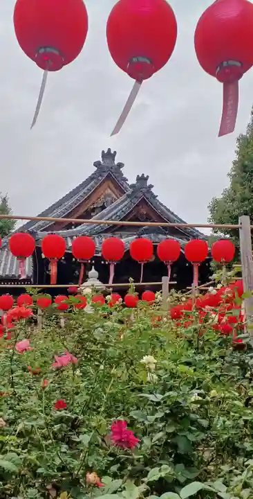 おふさ観音(観音寺)(奈良県)