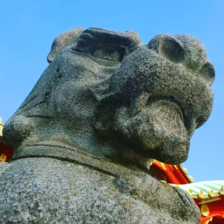 神田神社(神田明神)の狛犬