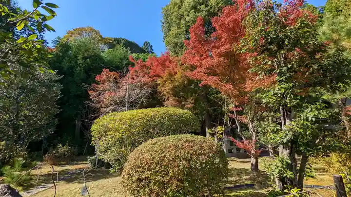 法寳閣檀林寺(京都府)