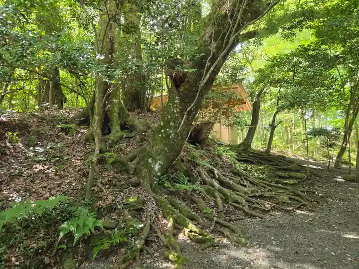井頭神社(奈良県)