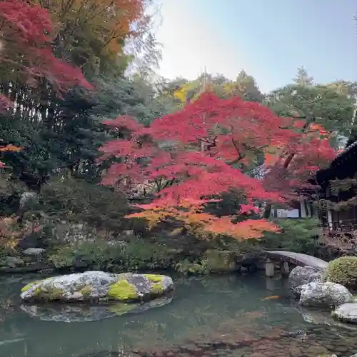 青蓮院門跡(京都府)
