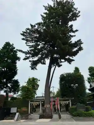 中野沼袋氷川神社(東京都)