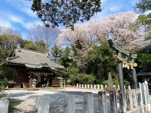 佐野赤城神社の本殿・本堂