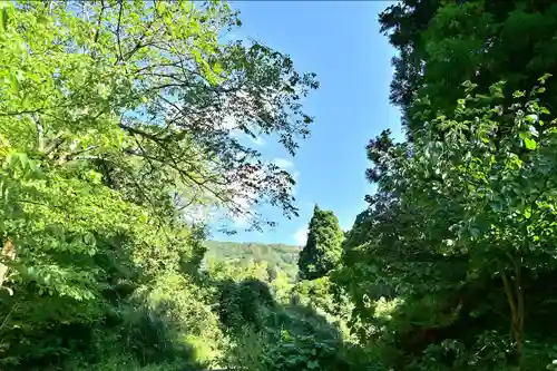 髙龍神社 中社(新潟県)