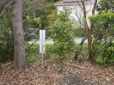 金崎神社(埼玉県)