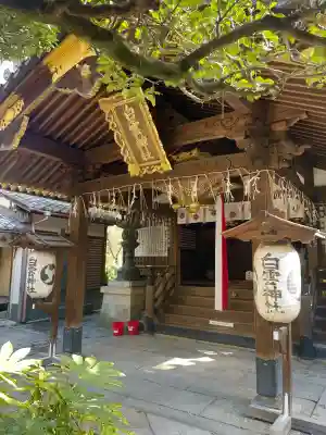 白雲神社の{uncategorized: "未分類", other: "その他", undefined: "問題あり", building: "その他建物", grave: "お墓", sacred_gate: "鳥居", guardian: "狛犬", statue: "像", buddha: "仏像", history: "歴史", nature: "自然", garden: "庭園", animal: "動物", pagoda: "塔", temizu: "手水舎", mountain_gate: "山門・神門", sanctuary: "本殿・本堂", subordinate: "末社・摂社", art: "芸術", scenery: "景色", jizo: "地蔵", ema: "絵馬", goshuin: "御朱印", omikuji: "おみくじ", items: "授与品その他", amulet: "お守り", goshuincho: "御朱印帳", eats: "食事", festival: "お祭り", votive_dance: "神楽", shichigosan: "七五三参", wedding: "結婚式", experience: "体験その他", initially: "初詣", around: "周辺", anti_infection: "感染症対策"}