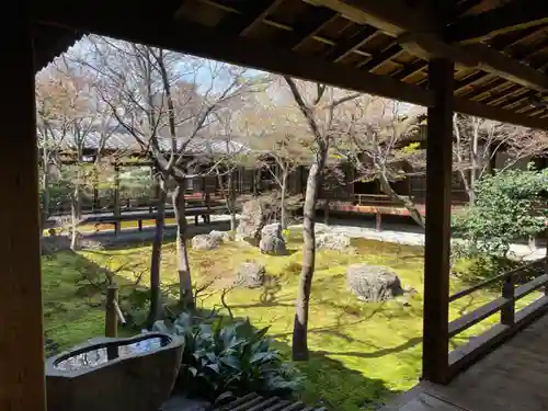 建仁寺（建仁禅寺）の庭園