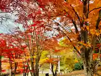 土津神社|こどもと出世の神さまの景色