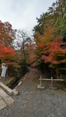 鍬山神社(京都府)