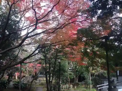 大正寺の庭園