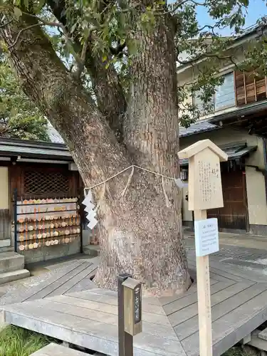 晴明神社の自然