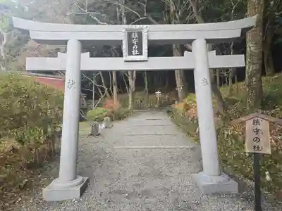 出雲大神宮(京都府)