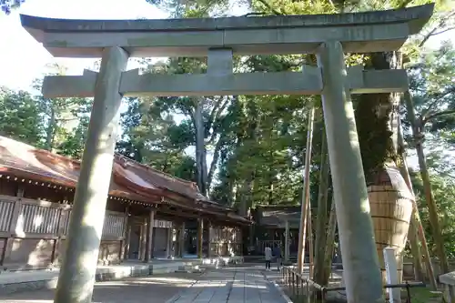 白山比咩神社の鳥居