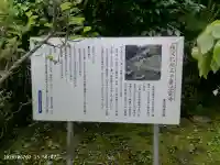 法雲寺(埼玉県)