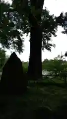 富士山東口本宮 冨士浅間神社の自然