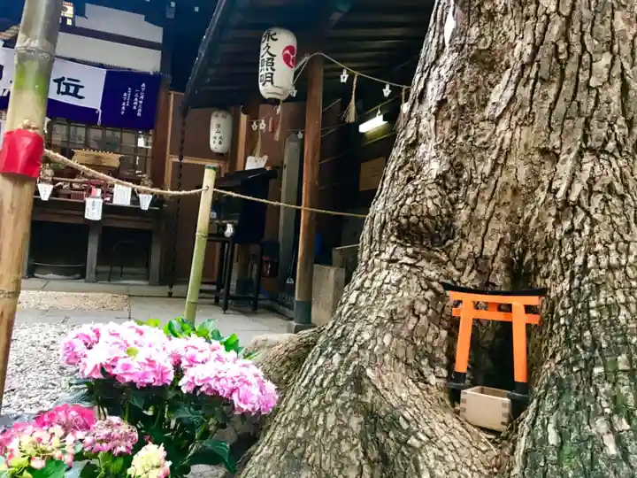 少彦名神社の自然