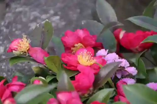 熊野福藏神社の手水