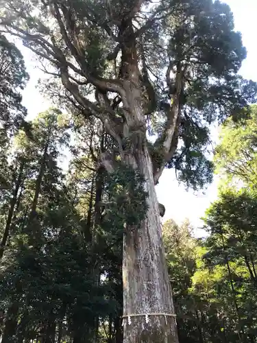 霧島神宮(鹿児島県)