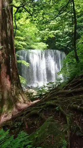 達沢不動滝の自然