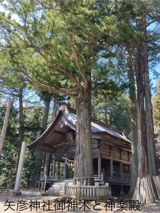 矢彦神社(長野県)