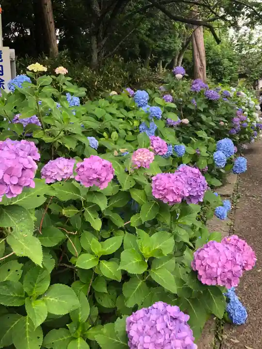 大聖寺(土浦大師不動尊)の自然