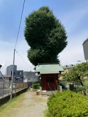 熊野神社(神奈川県)