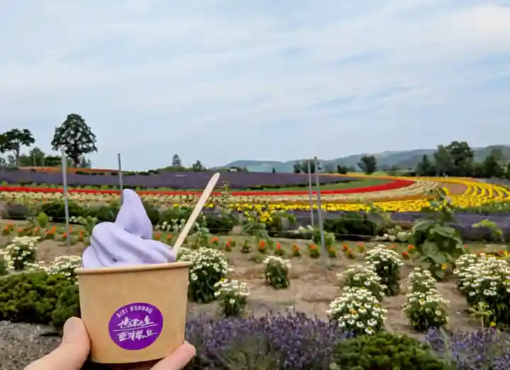 美瑛神社の周辺