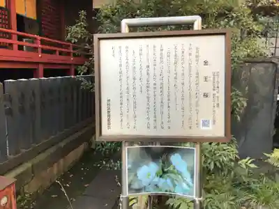 金王八幡宮(東京都)