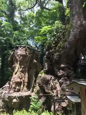 來宮神社(静岡県)