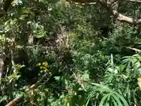 浅間神社の周辺