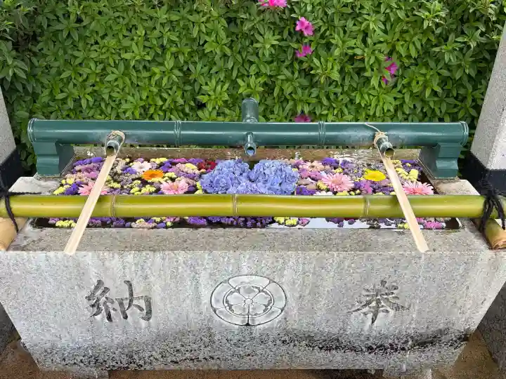 伊和志津神社の{uncategorized: "未分類", other: "その他", undefined: "問題あり", building: "その他建物", grave: "お墓", sacred_gate: "鳥居", guardian: "狛犬", statue: "像", buddha: "仏像", history: "歴史", nature: "自然", garden: "庭園", animal: "動物", pagoda: "塔", temizu: "手水舎", mountain_gate: "山門・神門", sanctuary: "本殿・本堂", subordinate: "末社・摂社", art: "芸術", scenery: "景色", jizo: "地蔵", ema: "絵馬", goshuin: "御朱印", omikuji: "おみくじ", items: "授与品その他", amulet: "お守り", goshuincho: "御朱印帳", eats: "食事", festival: "お祭り", votive_dance: "神楽", shichigosan: "七五三参", wedding: "結婚式", experience: "体験その他", initially: "初詣", around: "周辺", anti_infection: "感染症対策"}