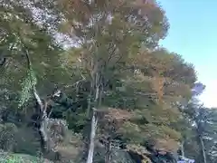 大宮温泉神社の自然