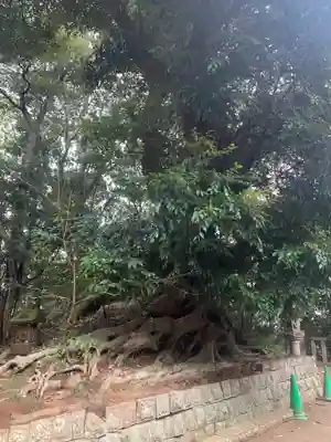 諏訪神社(千葉県)