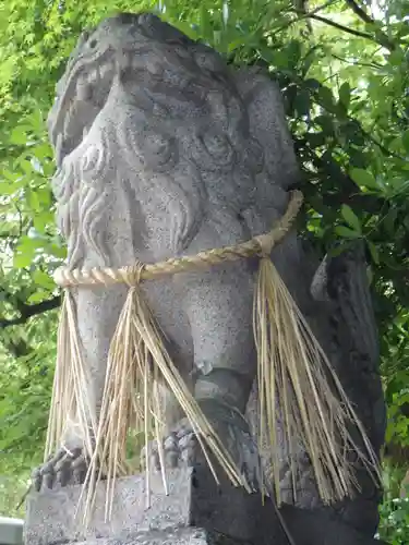 亀之森住吉神社の狛犬