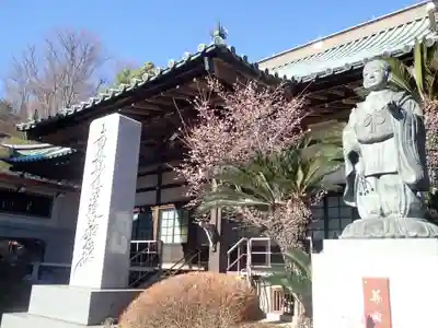 溝口神社(神奈川県)