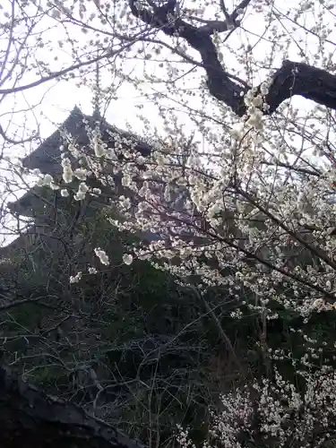 本牧神社(神奈川県)