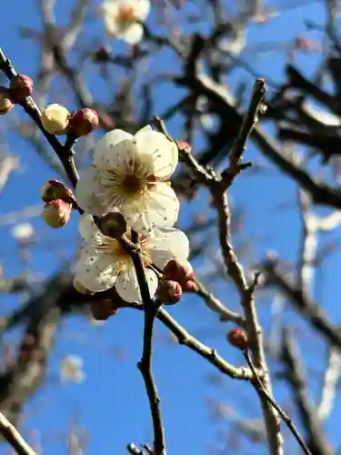 十二社(東京都)
