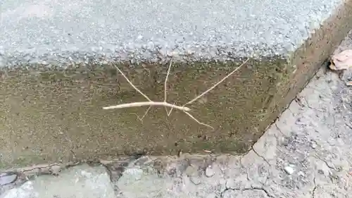 神道大教木曾御嶽川越大教会(埼玉県)
