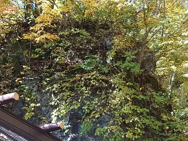 戸隠神社奥社(長野県)