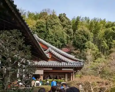 華厳寺(鈴虫寺)(京都府)