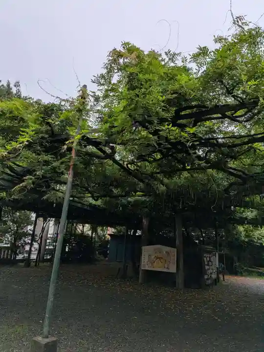 國領神社(東京都)